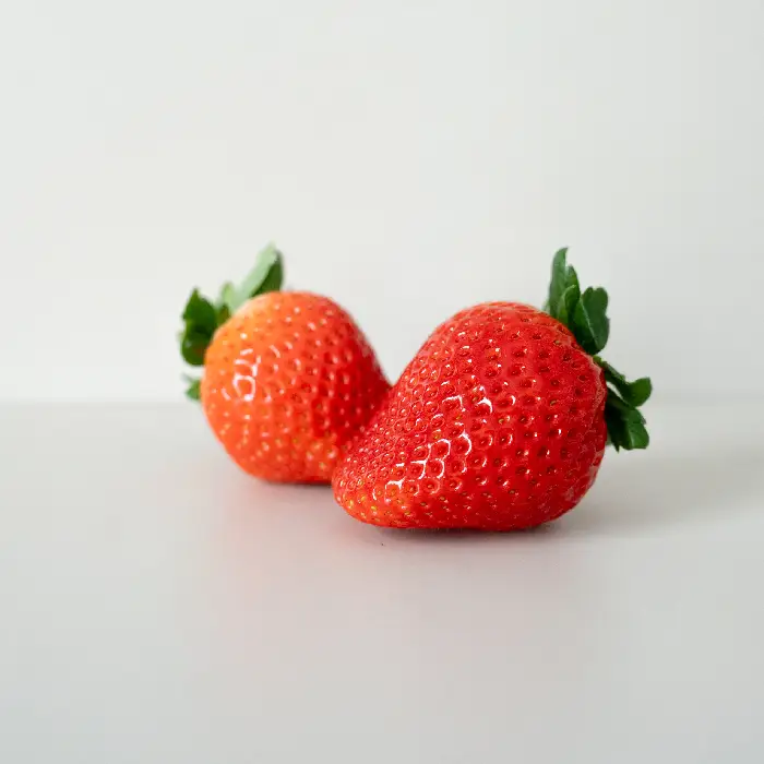 品種3の写真