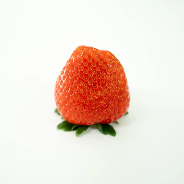 品種2の写真